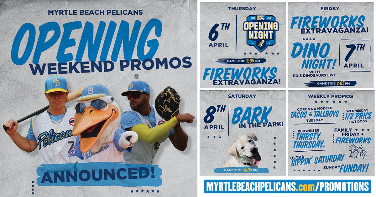 Opening Night Myrtle Beach Pelicans VS Charleston RiverDogs